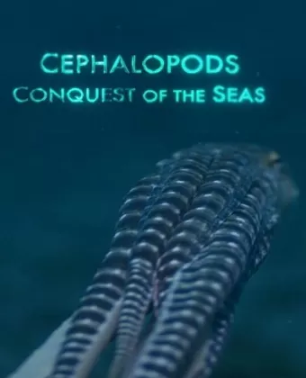 Цефалоподы - покорители морей / Céphalopodes: le règne des ventouses